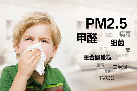PM2.5环境污染无线远程测控实时监测